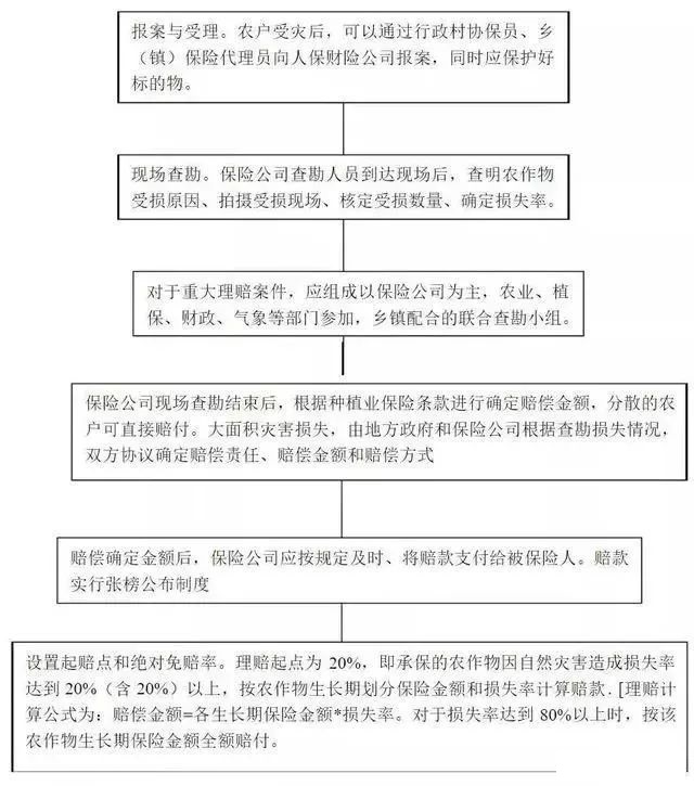 农业保险-理赔流程.jpg
